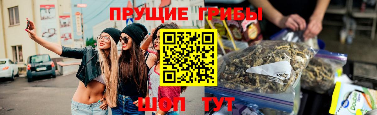 Псилоцибиновые грибы Cubensis Краснокамск